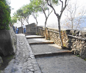 Immagine: 
